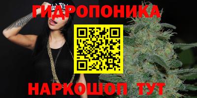 амф Кингисепп