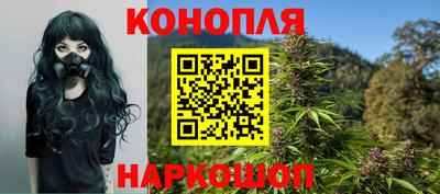 амф Кингисепп