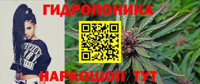амф Кингисепп