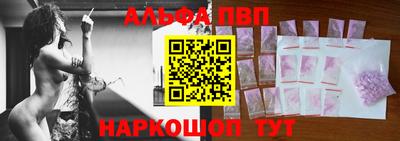 амф Кингисепп