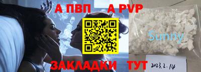 амф Кингисепп