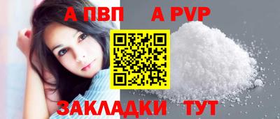 амф Кингисепп
